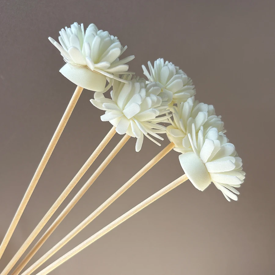 Set di 10 Bastoncini Diffusori - Aromatherapy Diffuser recensione e prezzo